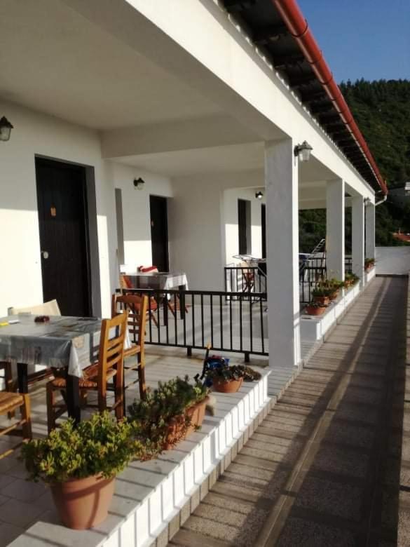 Olga Paltsi Rooms Paltsi Pilion Exterior photo