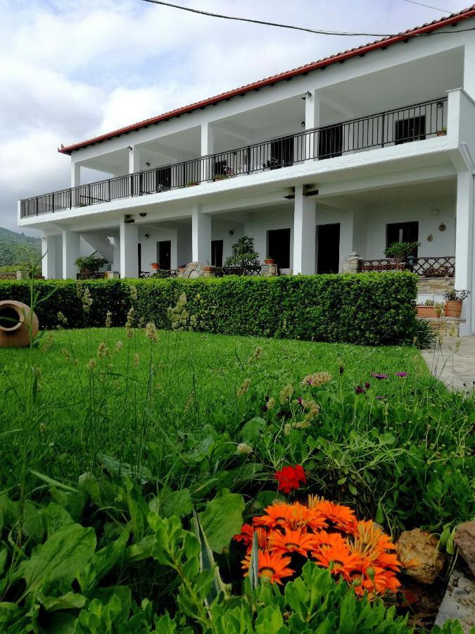 Olga Paltsi Rooms Paltsi Pilion Exterior photo