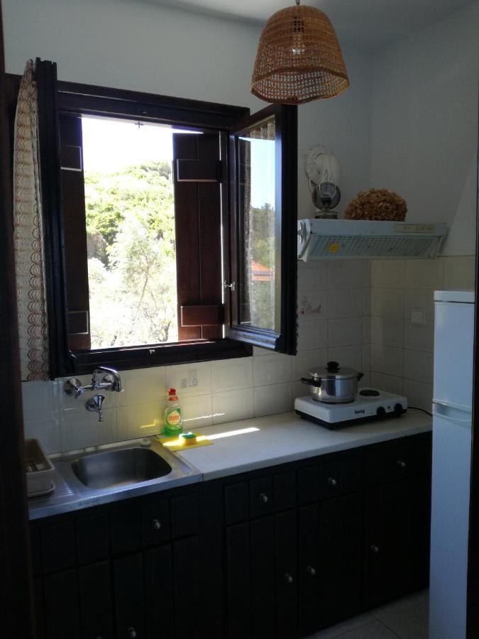 Olga Paltsi Rooms Paltsi Pilion Exterior photo